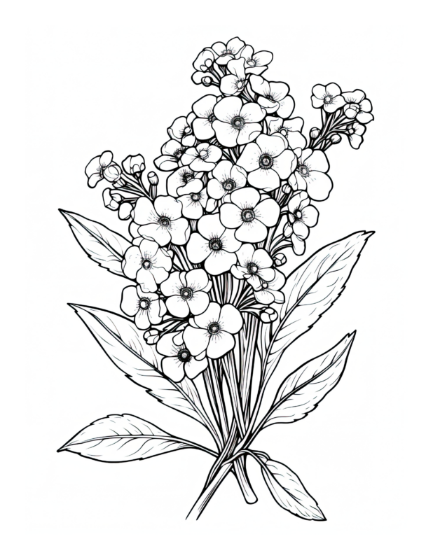 Free Printable Azure Affection - Blue Forget Me Nots Coloring Page For ...